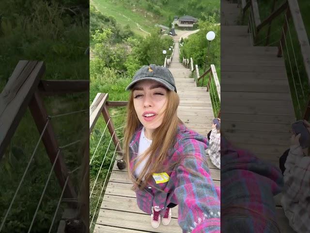 Лесная сказка 