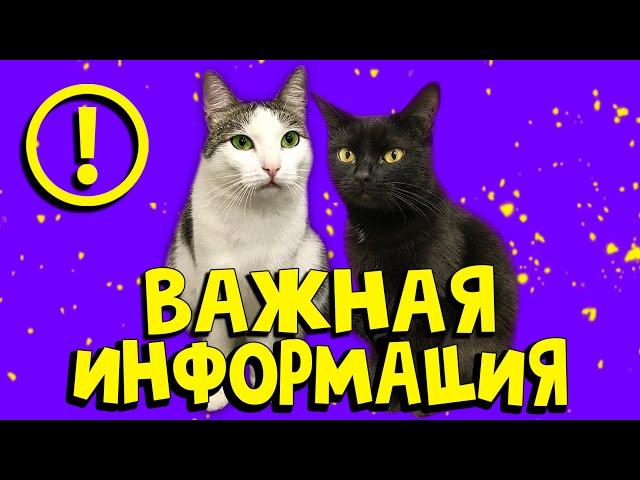 ВАЖНАЯ ИНФОРМАЦИЯ ДЛЯ КАЖДОГО! Надо поговорить! SANI vlog