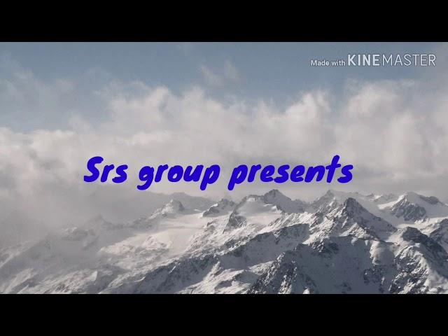 SRS GROUP LTD