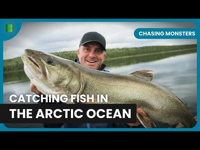 Fishing in the Arctic - Chasing Monsters - Nature & Adventure Documentary