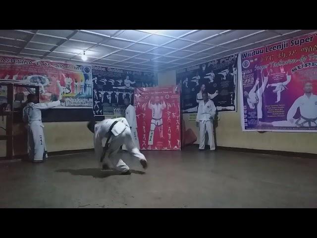 Super International Taekwondo Training Club