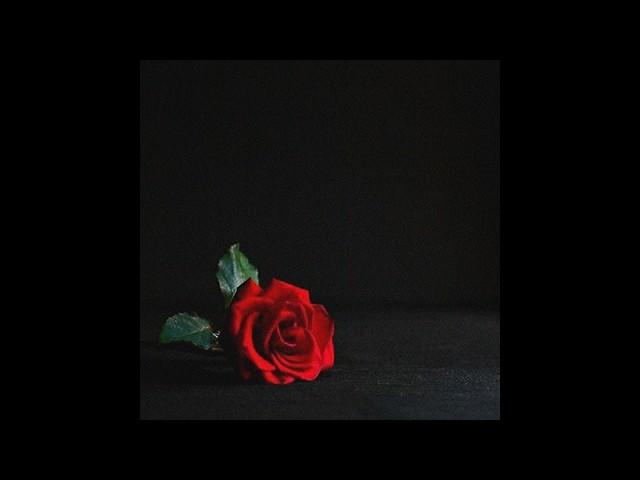 Free Sad Type Beat - Dead Rose