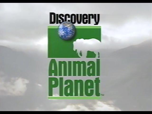 Animal Planet Debuts, Celebrates Relationship Between Humans and Animals