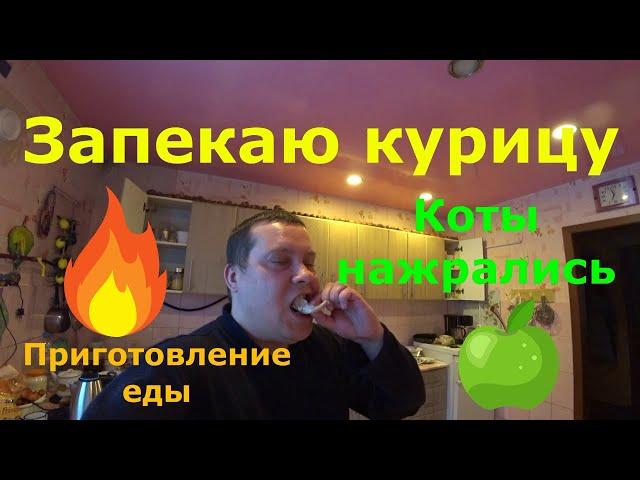 Запекаю курицу / Варю спагетти / Коты нажрались до отвала / Приготовление еды