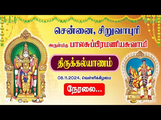 LIVE : சிறுவாபுரி அருள்மிகு பாலசுப்ரமணியசுவாமி திருக்கோவில் திருக்கல்யாணம் | Siruvapuri Murugan