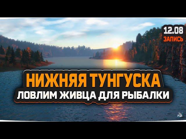 Ловим живца на реке Нижняя Тунгуска — Русская Рыбалка 4