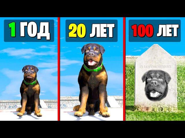 Я ПРОЖИЛ 100 ЛЕТ за ЧОПА в GTA 5! (Моды ГТА 5)