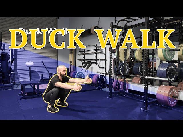 Duck Walk - Tutorial