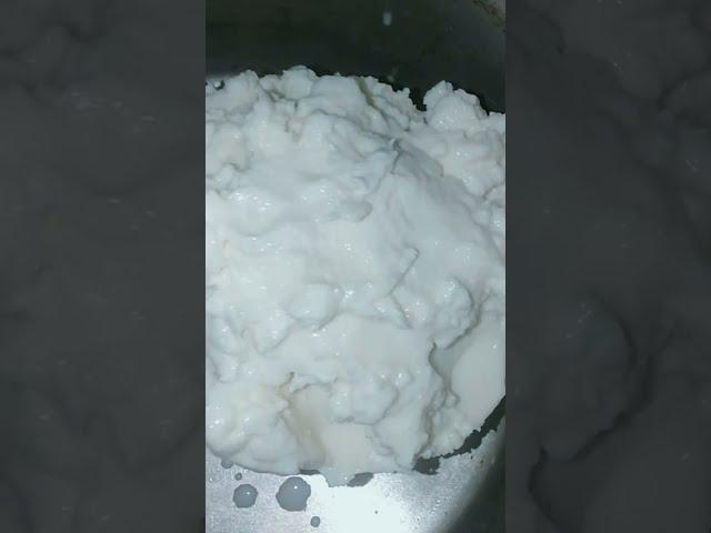 Make Cheese at Home ( Desi Makhan) | Mamta Pal family vlog| #shorts #youtube #viral #food #desi #new