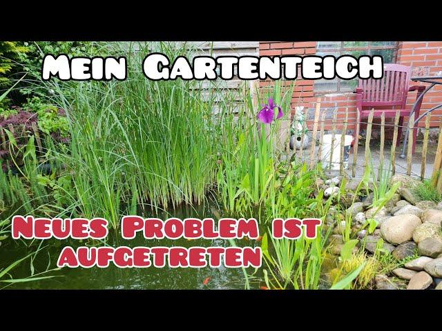 Mein Gartenteich/ das Problem mit der Filteranlage