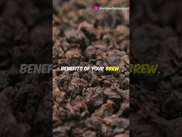 Discover the Secrets of 27 Tea Cultivars! #Sciencefather#researchawards #professor#Plants