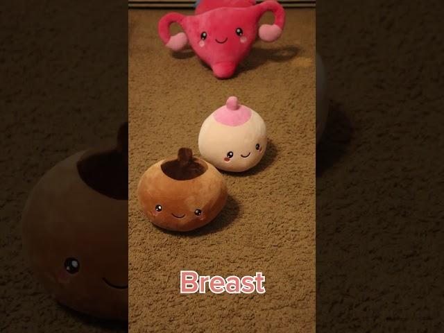 Organ plushies strike a pose