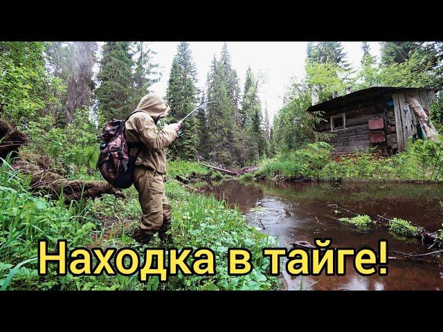 ВОТ ЭТО НАХОДКА!!! РЫБАЛКА В ТАЙГЕ СДЕЛАЛА НАС БОГАТЫМИ!