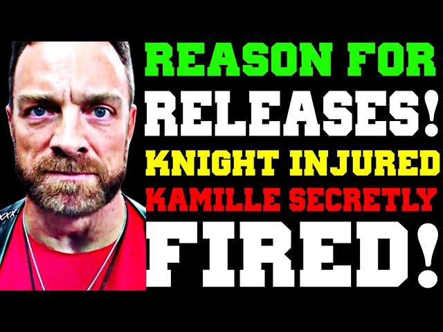 WWE News! Reason For RELEASES! Shawn Michaels SHOVED! LA KNIGHT Injured! AEW SECRETLY FIRED KAMILLE!