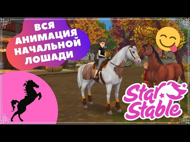 ПОЛНАЯ АНИМАЦИЯ АЛЛЮРОВ И ДВИЖЕНИЙ НАЧАЛЬНОЙ ЛОШАДИ|СТАР СТЕЙБЛ ОНЛАЙН| SSO|