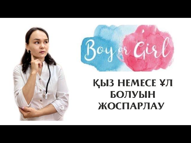 Ұл немесе қыз жынысын жоспарлау?! Овуляция арқылы есептеу