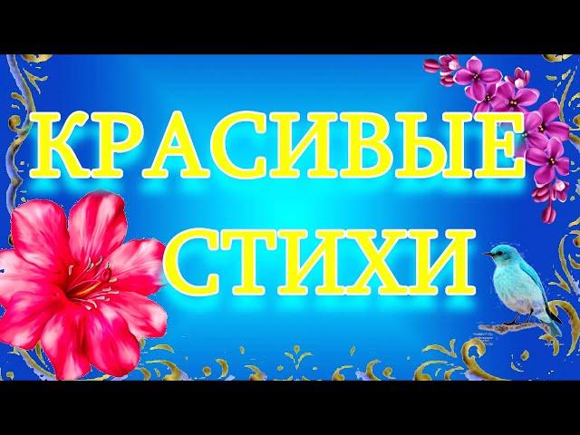 "Как много в жизни хочется сказать..." Очень душевный стих! Музыкальная Открытка