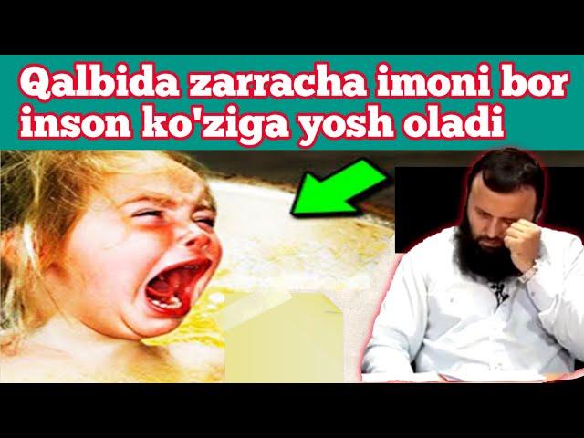 Imonga ozuqa beramiz Shayx Sodiq Samarqandiy Ixlos org norasmiy savol javoblar Alloh bizni mavloimiz