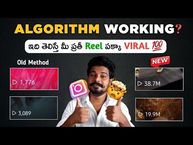 Secret Tips To Beat The Instagram Algorithm 2024 | How To Make Reels Viral