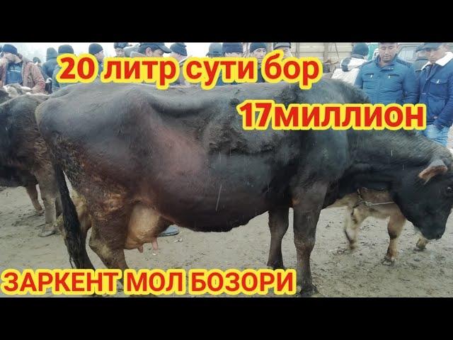18-ФЕВРАЛ ЗАРКЕНТ НОВВОСЛАРИ НАРХЛАРИ