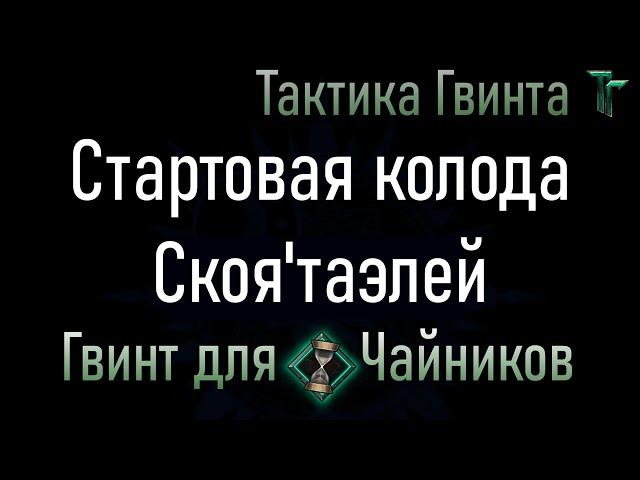 Новичкам-08/Скоя'таэли/Стартовая колода Скоя'таэлей. Смотрим механику вживую [Гвинт Карточная Игра]