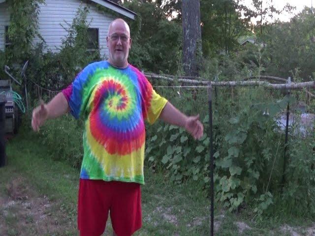 Crazy Old Man Forcing Green Tomatoes to Turn Red with PawPaw