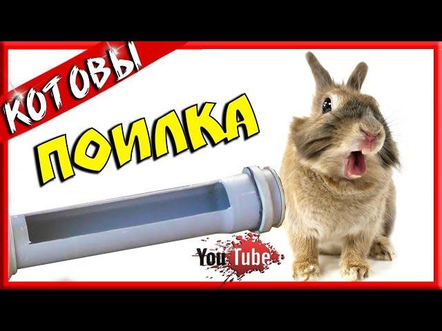 Лучшая поилка для кроликов! Как сделать самому из пластиковой трубы...