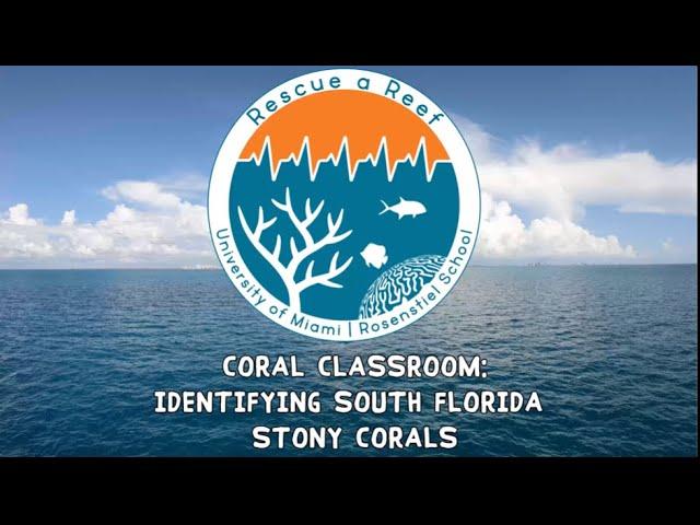 Coral Classroom: Identifying South Florida Stony Corals