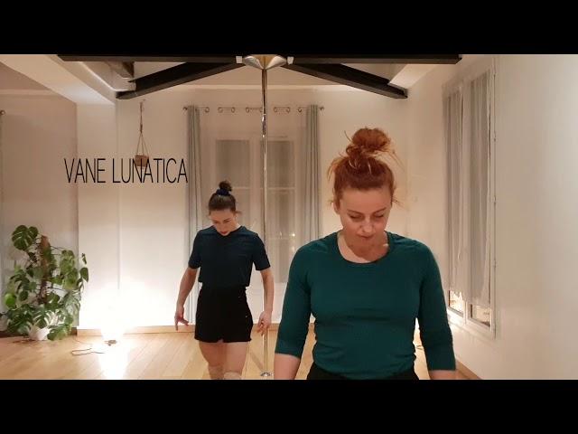 Vane Lunatica & Yvonne Smink - contemporary pole exploration