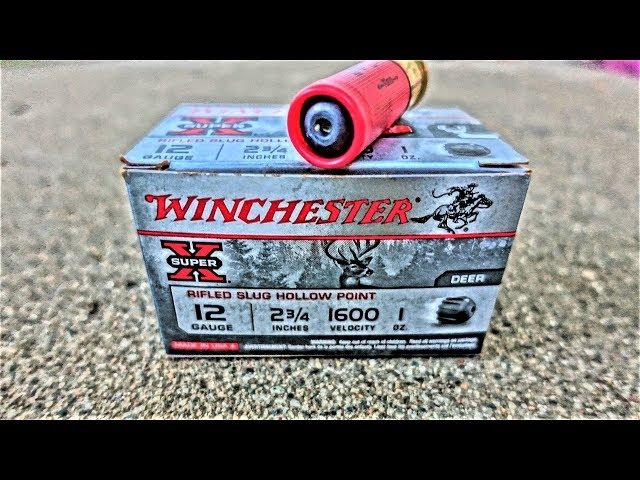 Winchester "SUPER X" Hollow Point 12 Gauge SHOTGUN SLUG! (Ballistics Gel Test)