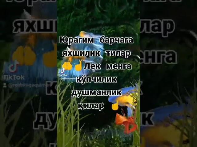 Аллохим ўзинг сабр бер ️️