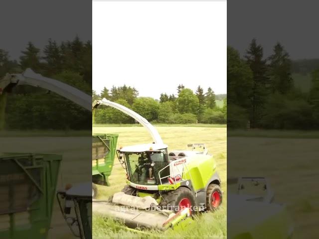 #Grünroggen #2k24 #häckseln #luritter #claasjaguar #2k24#claas