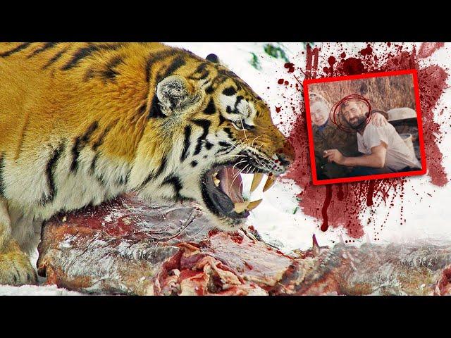 One of The Most VENGEFULY NOTORIOUS Tiger Attacks in Human History !