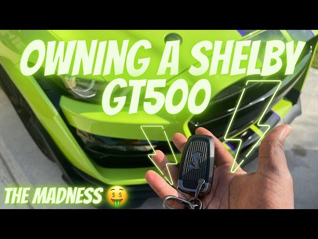 The struggles of owning a Shelby GT500 (6months ownership)