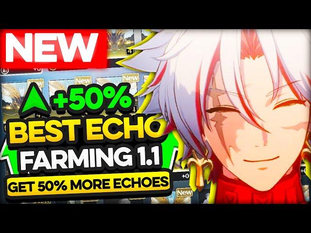 NEW! FASTEST WAY TO GET BEST ECHOES | WUTHERING WAVES GUIDE