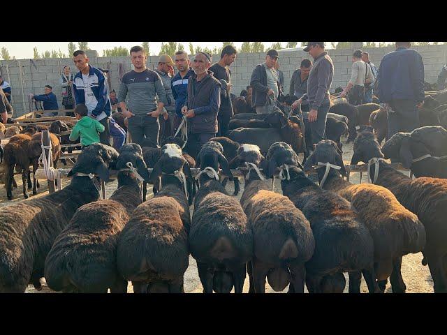 Beshariq qõy bozori bugungi narhlar bilan tarnishing 22.09.2024yil