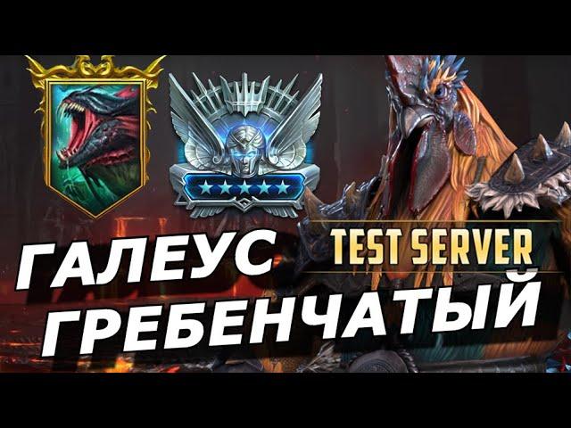 RAID: ВРЕМЯ ПЕТУХА  ГАЛЕУС ГРЕБЕНЧАТЫЙ - ТОП ИЛИ ДНО? (ОБЗОР/ГАЙД) ЗБТ | Galleus Bloodcrest 