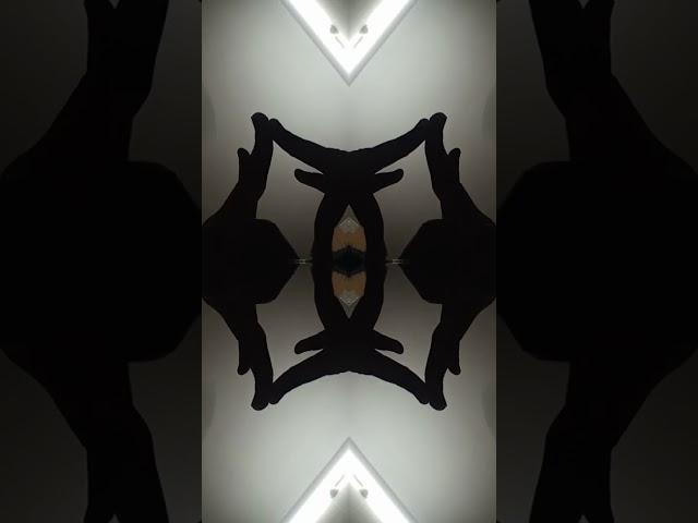 inside  #music #avee_player