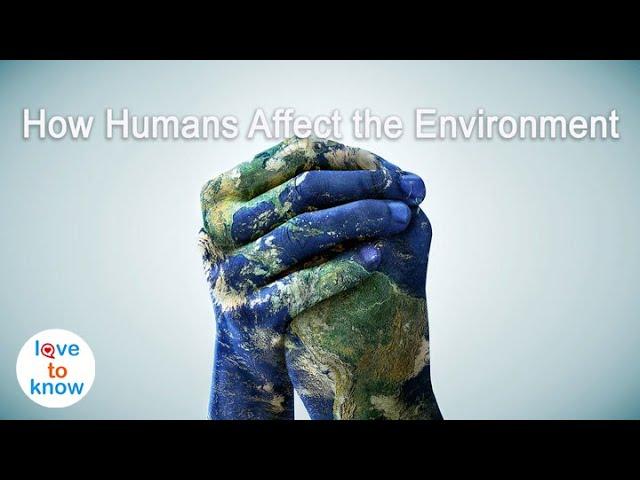 How Do Humans Affect The Environment