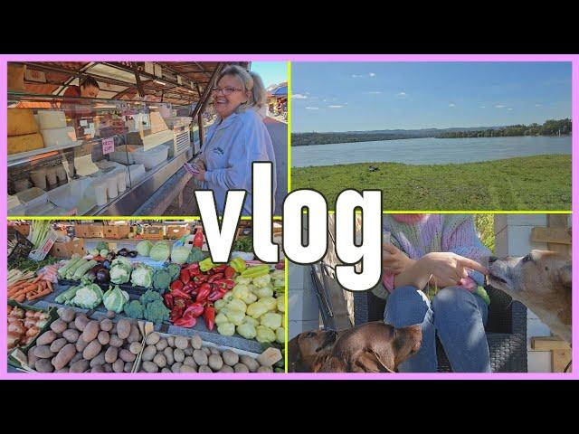 HELLOVINA 26   VLOG ⭐ Stigao HM paket  saga majstori  upropastili nam zidove