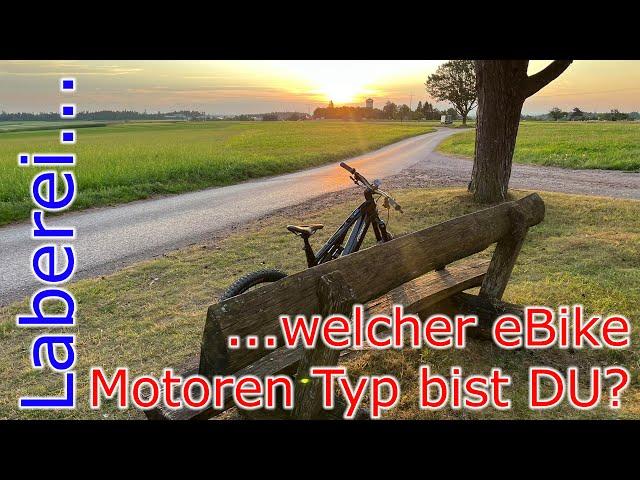 ...welcher eBike Motoren Typ bist DU? // Laberfolge