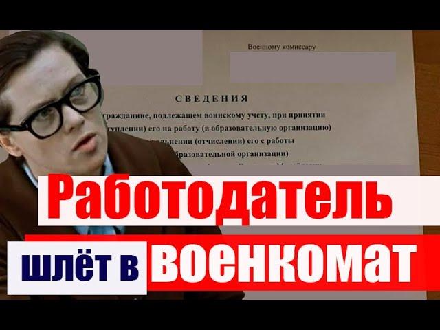 Работодатель требует нести данные в военкомат. Это законно? #армия #призыв #военкомат