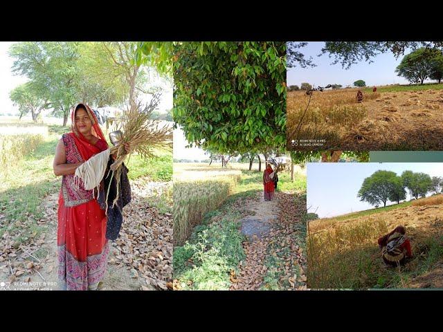 Indian desi life | village life blog | desi Indian village | Bundelkhand village life | Bundeli Film