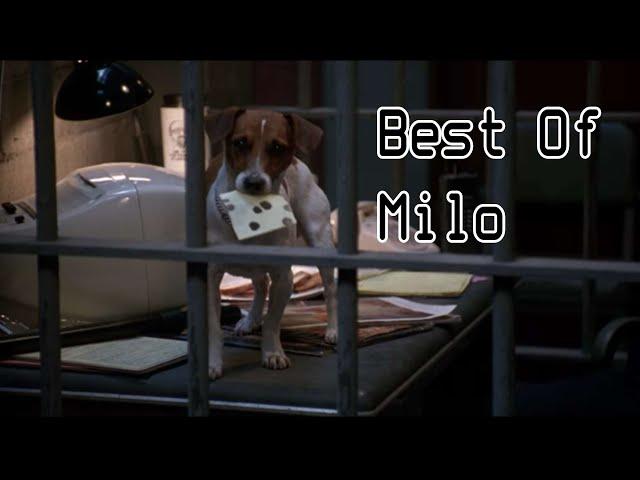 Best Of Milo (The Mask)