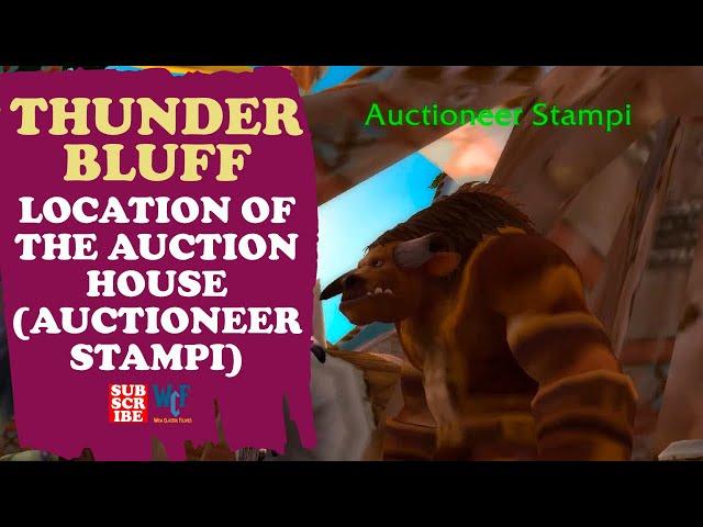 Where is the auction house in Thunder Bluff? | Auctioneer Stampi | WOW World of Warcraft