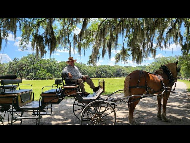  [4K] MIDDLETON PLACE PLANTATION in Charleston, SC/ Horse-drawn carriage ride with Mr. Bob