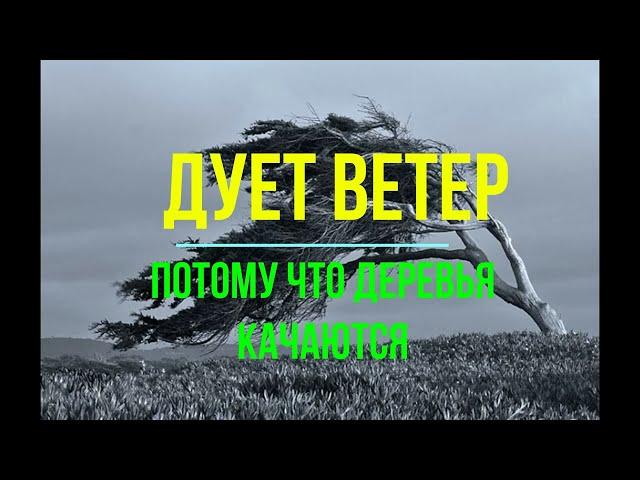 Дует ветер потому, что деревья качаются. Вячеслав Котляров.
