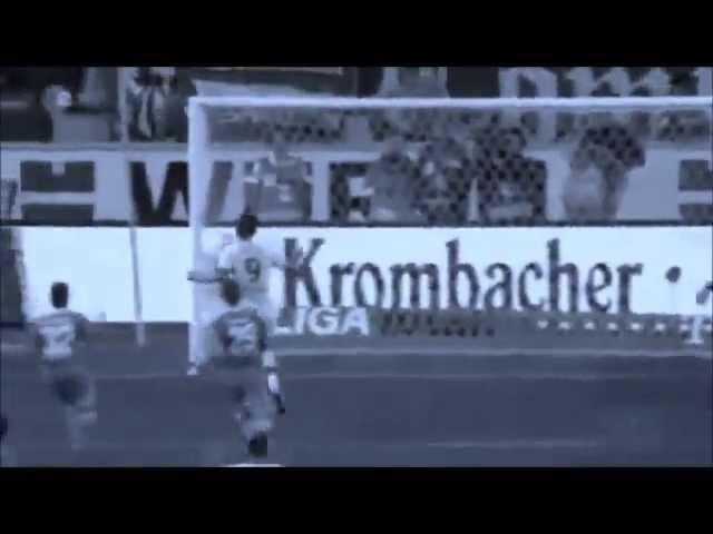 Vedad Ibisevic (VfB Stuttgart) Goals 2013/14