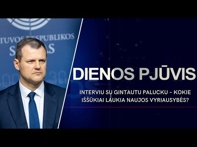 Interviu su Gintautu Palucku – kokie iššūkiai laukia naujos Vyriausybės? | DIENOS PJŪVIS