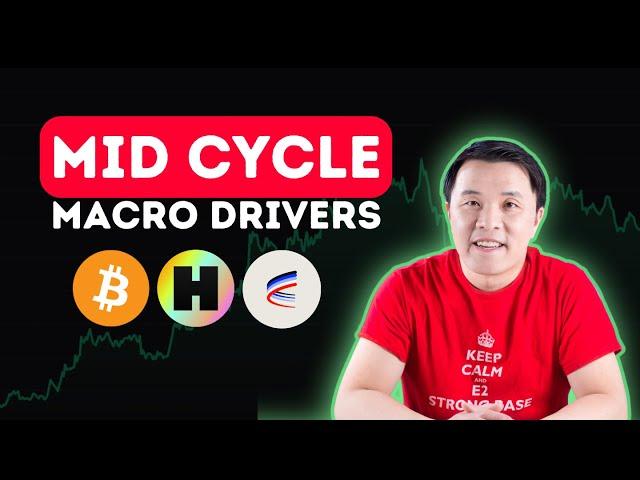 Mid-Cycle Capitulation | Marco Drivers & Adoption Update | Consider ALTs with big potential!